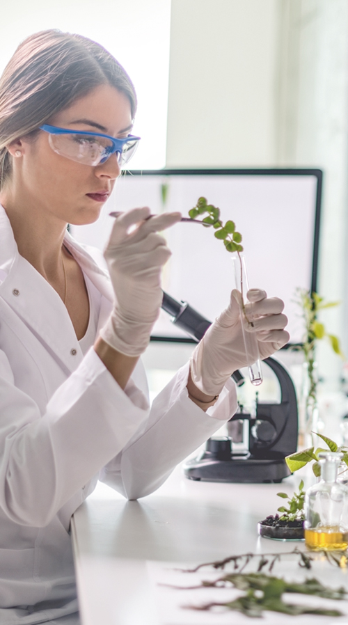 Biologielaborant (m/w/d)