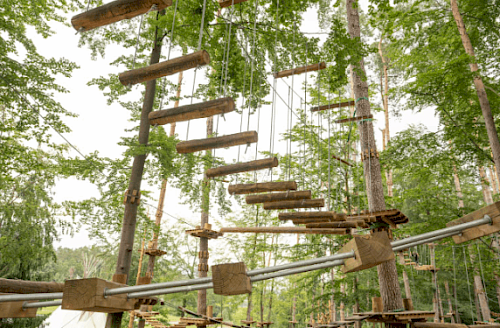 Kletterkonstrukt umgeben von Bäumen wie im Kletterwald Hohe Düne