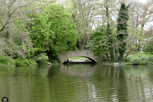 Kleine Brücke im Stadtgarten Wanne-Eickel umgeben von Bäumen