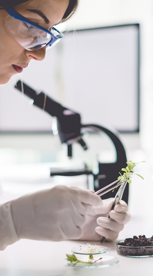 Biotechnologie