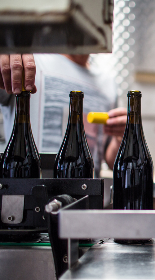 Weintechnologe (m/w/d)